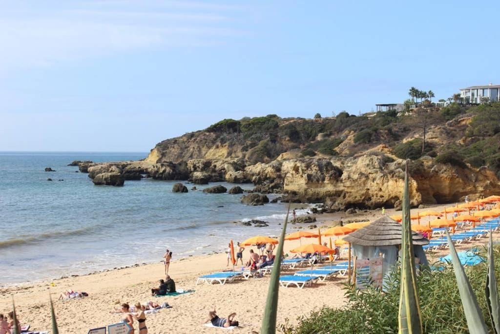 Appartement A Dois Passos Da